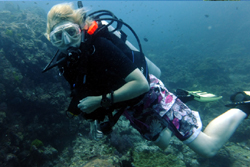 julie diving